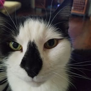 Meet your Posher, Richard